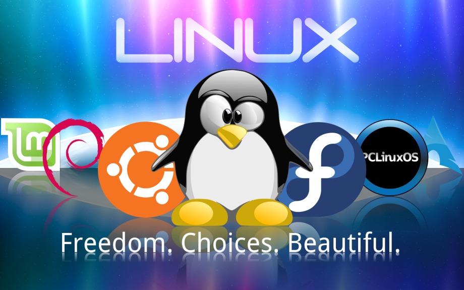linux training in India