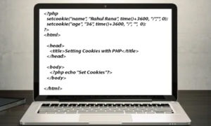 Setting Cookies with PHP