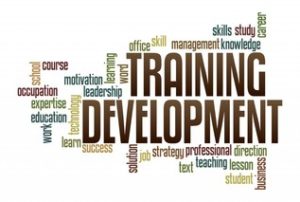 1. Importance of Training & Development Department in HR